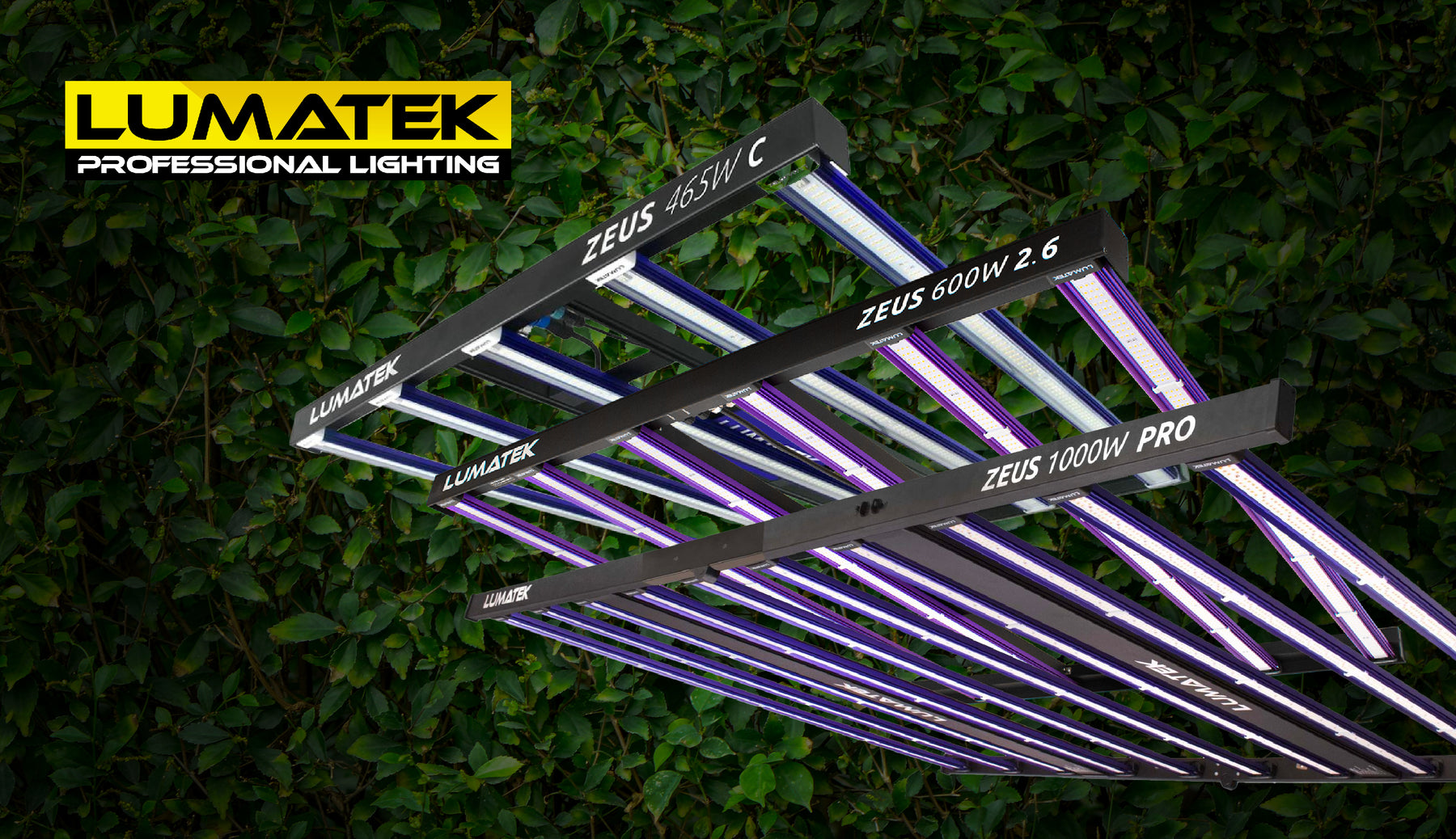 Employ the Power of Zeus at  Home with Lumatek!