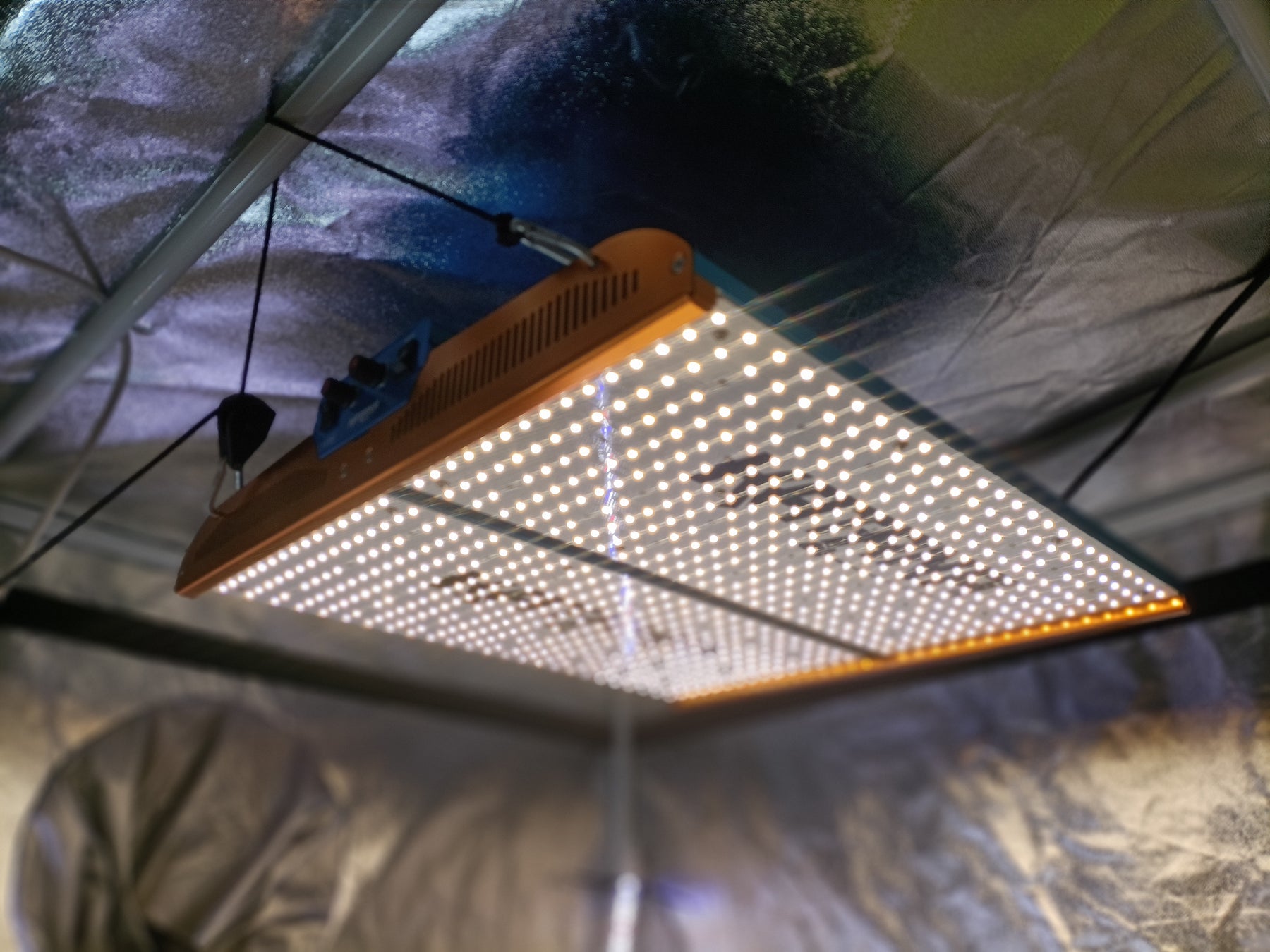 Beginner's Guide to Hydroponic Lighting
