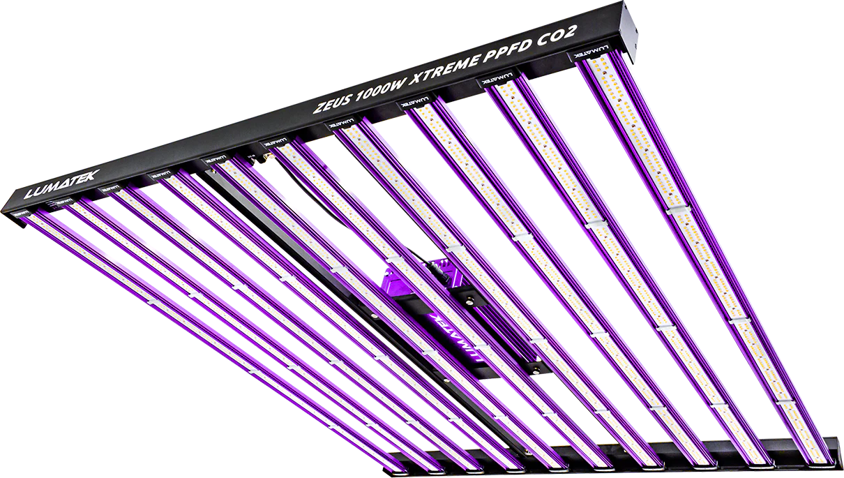 The Best Lighting Solutions For Your Next Hydroponic Grow! (Updated for 2023)