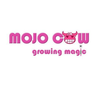Mojocow Lights
