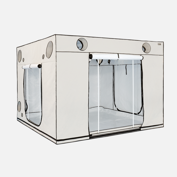 HOMEbox Ambient Q300+