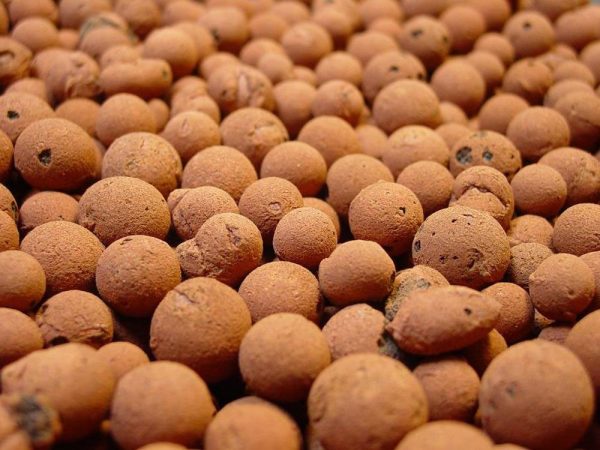 Clay Balls 8Ltr Bags