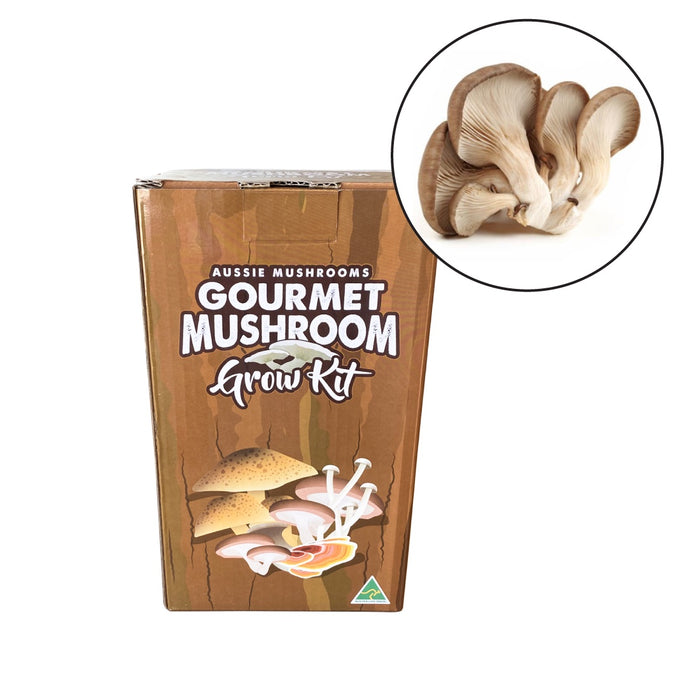 Aussie Mushroom - Ready To Grow Kit - Tan Oyster