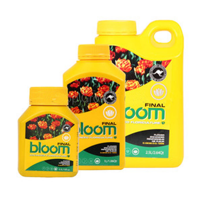 BLOOM FINAL