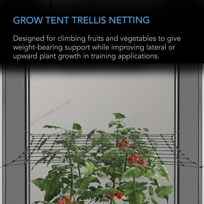 AC Infinity Grow Tent Trellis Netting, Flexible Elastic Cords