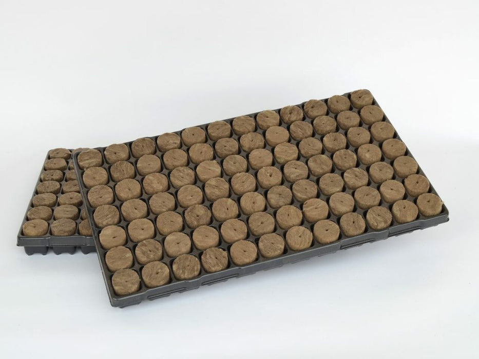 Speedgrow (rockwool)Prop 84 Plug Tray 38 X 40mm With Hole