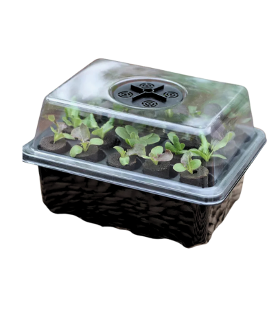 Rapid Roots Seeds and Cuttings Starter Kit