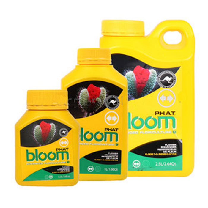 BLOOM PHAT