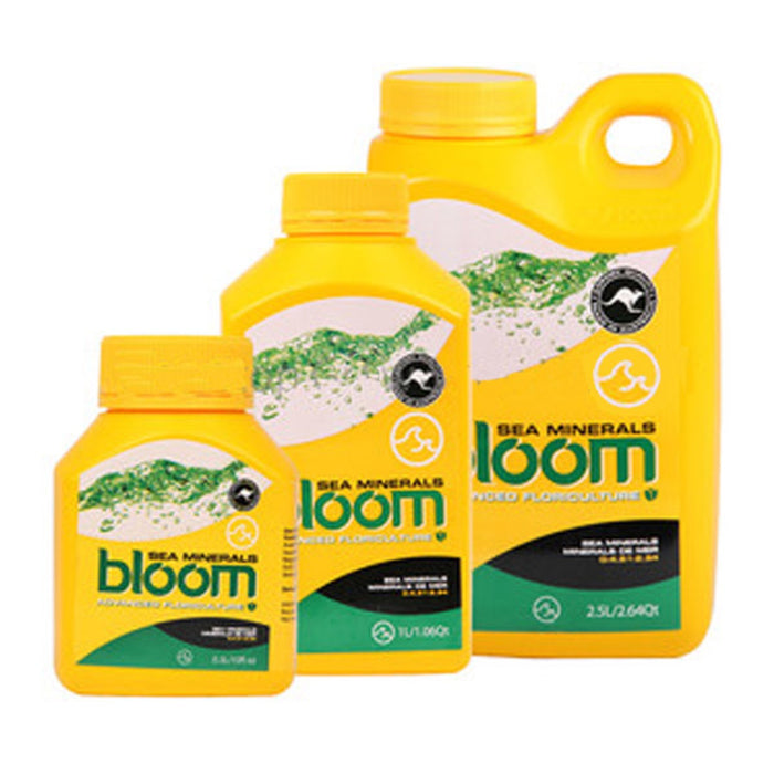BLOOM SEA MINERALS