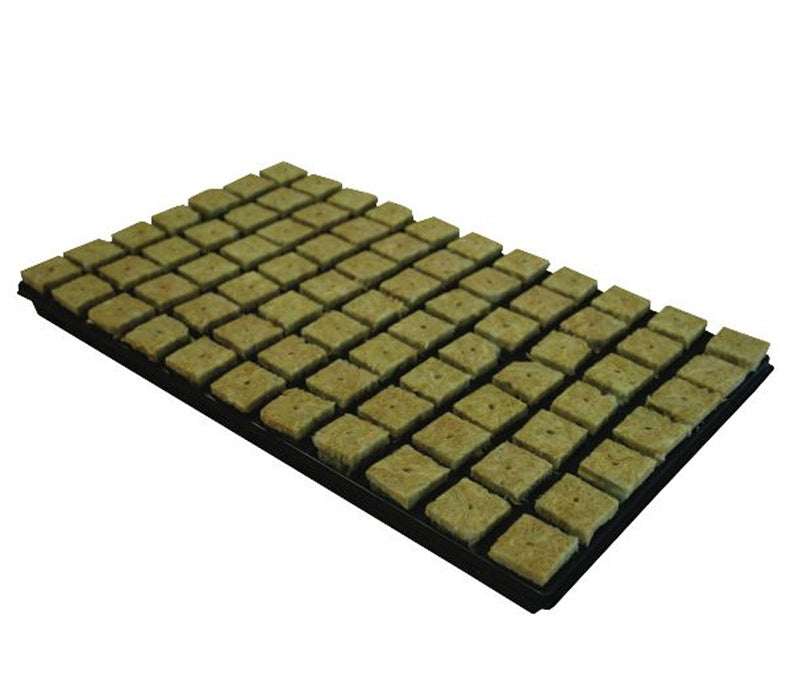 CULTILENE LARGE PROP CUBES 35MM TRAY OF 77