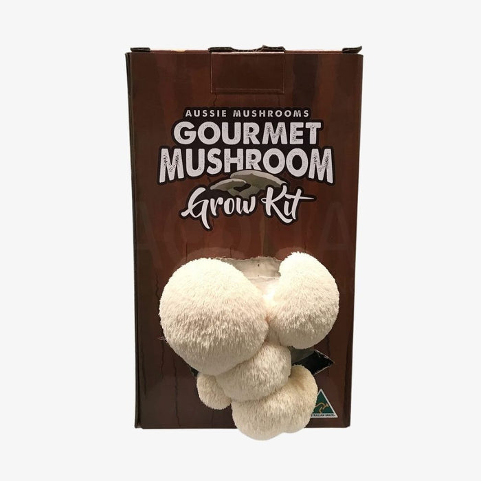MUSHROOM KIT - AUSTRALIAN HERICIUM / LIONS MANE