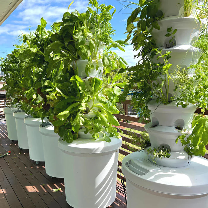 The Airgarden