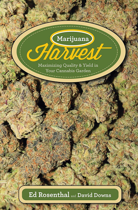 MJ Harvest By Ed Rosenthal