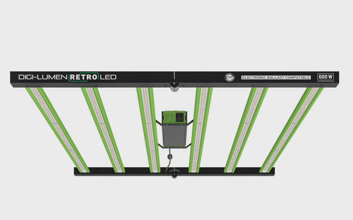 Digi-Lumen Retro LED Array