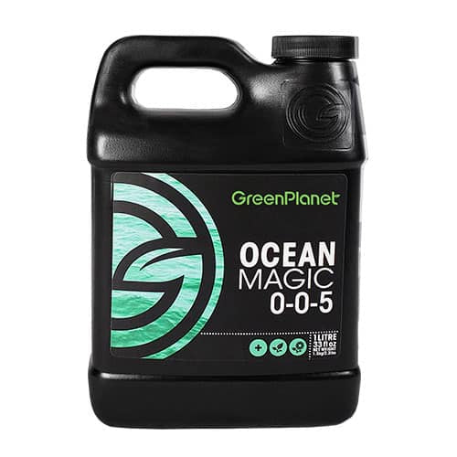 Green Planet Ocean Magic