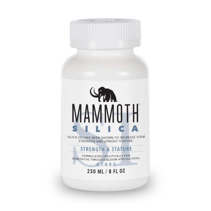 Mammoth Silica