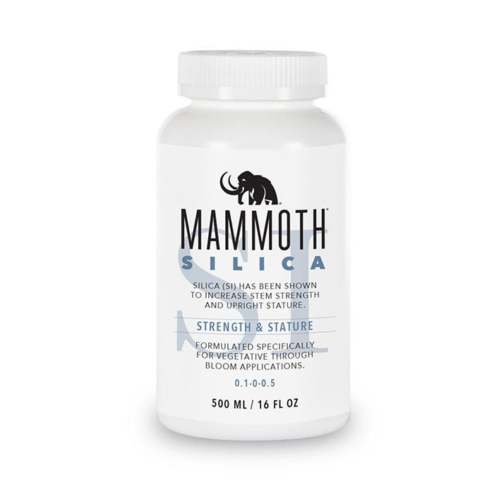 Mammoth Silica