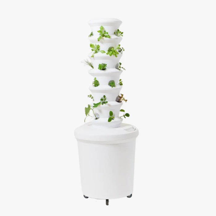 The Airgarden