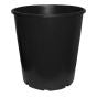 10.5L Citrus (250mm)