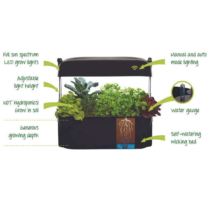 Vegepod Kitchen Garden