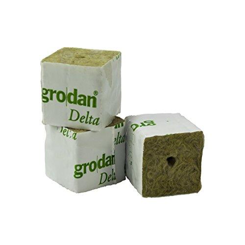 Propagation - Grodan Rockwool Cubes