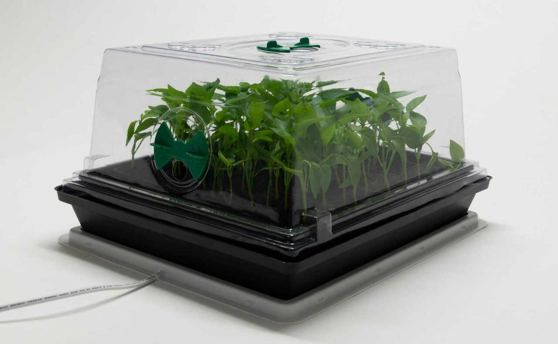 Propagation - HEAT N GROW PROPAGATION SET 3