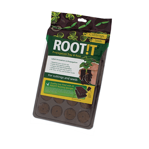 Propagation - RootIT - Rooting Sponge 24 Cell Tray