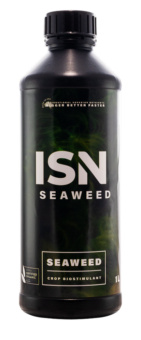 ISN Seaweed
