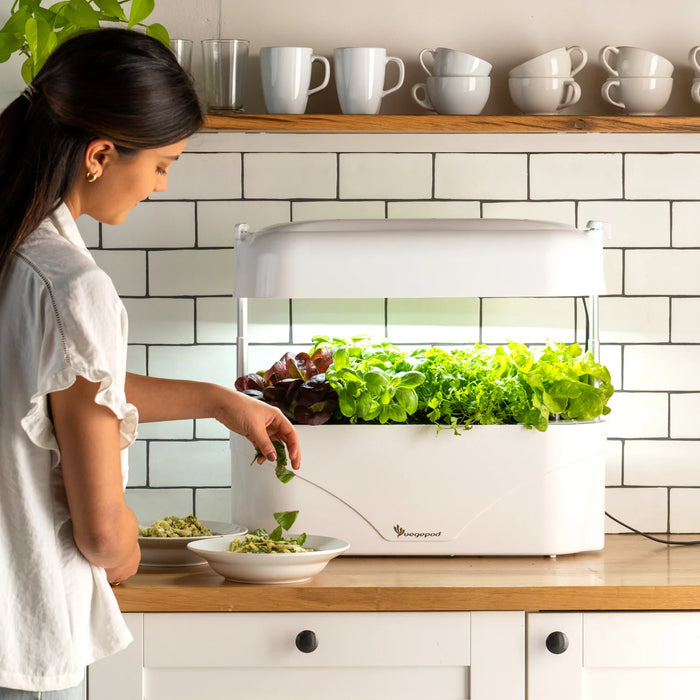 Vegepod Kitchen Garden