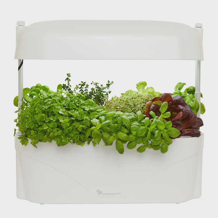 Vegepod Kitchen Garden