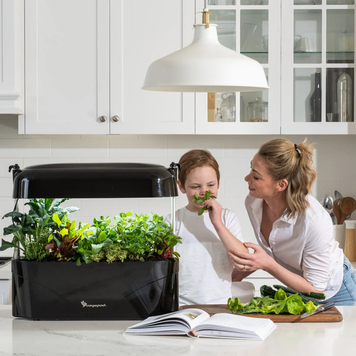 Vegepod Kitchen Garden