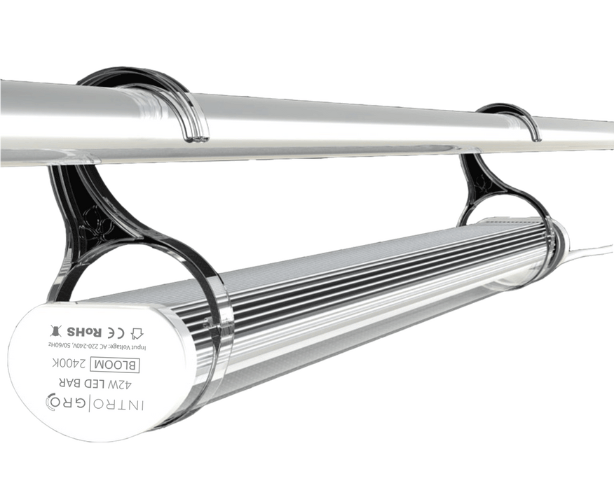 IntroGro LED Bloom Bar
