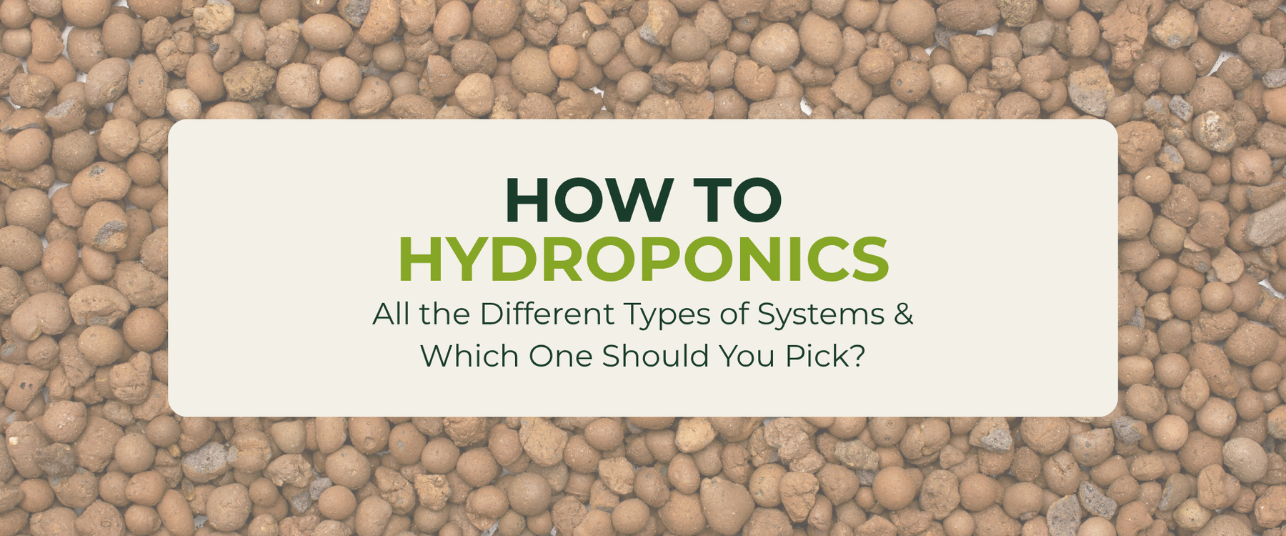 How to Hydroponics: All the Different Types of Systems, and Which One Should You Pick?