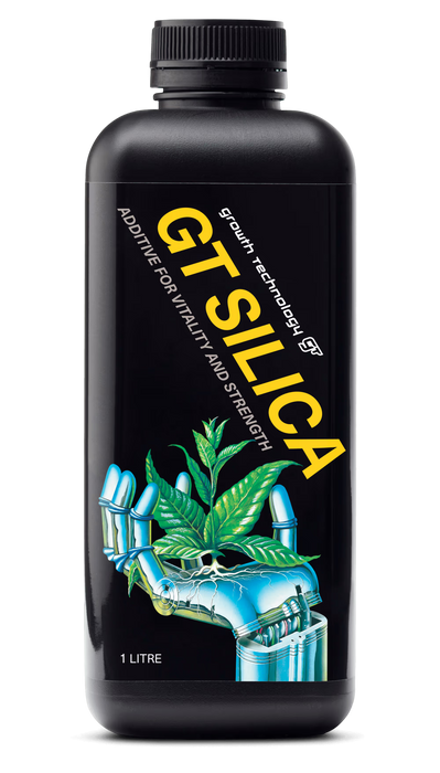 GT Silica