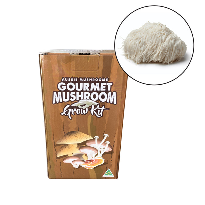 Aussie Mushrooms - Ready To Grow Kit - Lions Mane (Hericium Erinaceus)