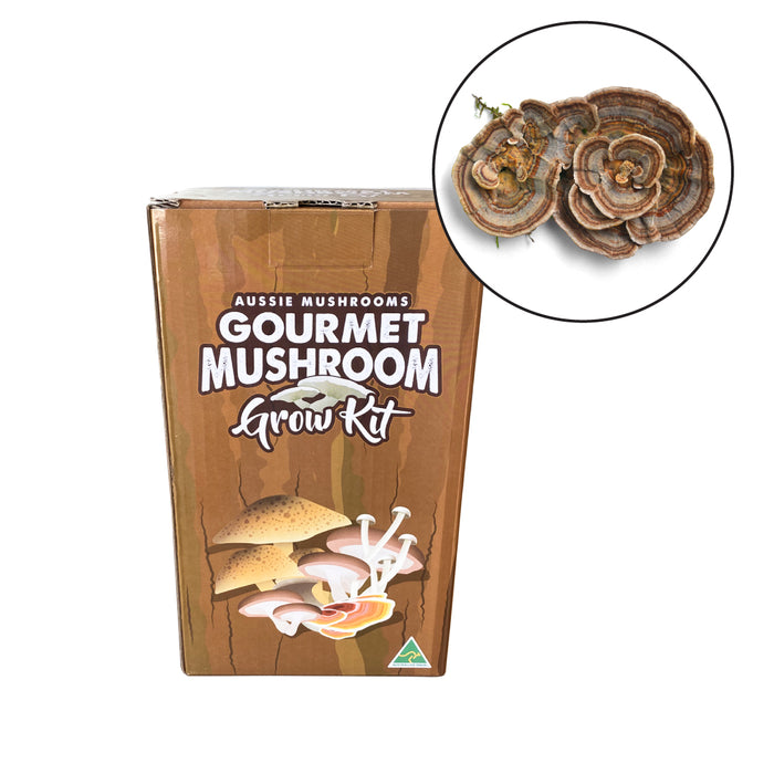 Aussie Mushrooms - Ready to Grow Kit - Australian Turkey Tail (Tramates Versicolor)