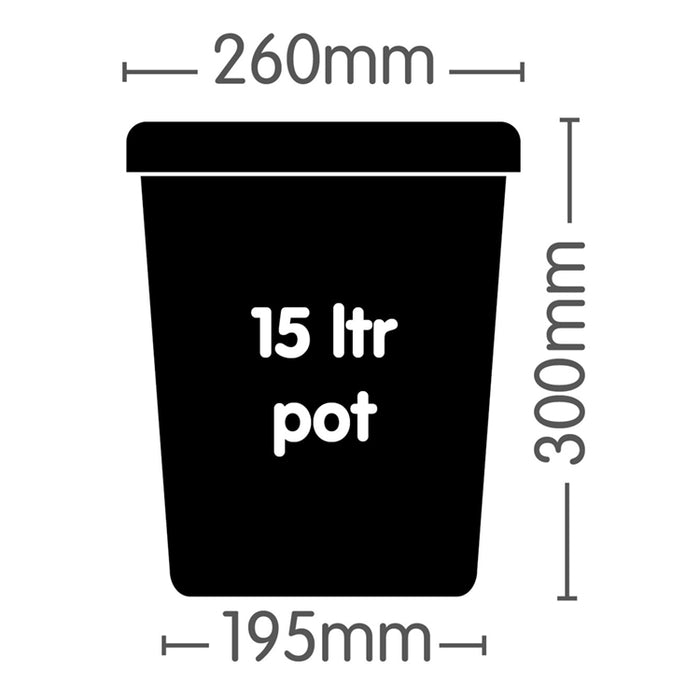 Nutrifield Autofeed 15Ltr Pot (Stand-Alone)