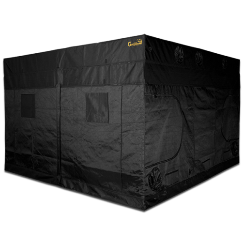 GORILLA GROW TENT 10X10