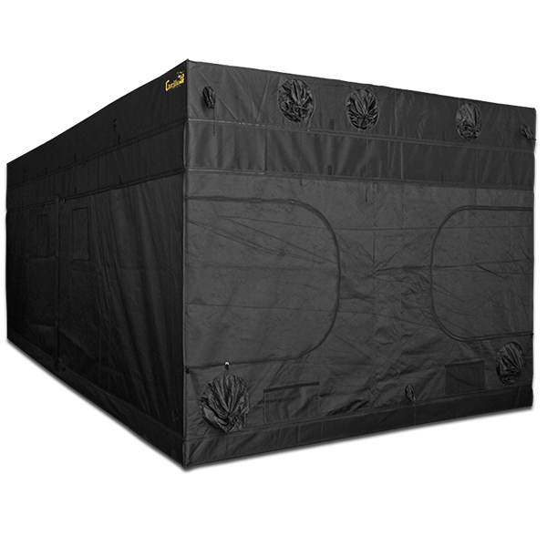 GORILLA GROW TENT 10X20