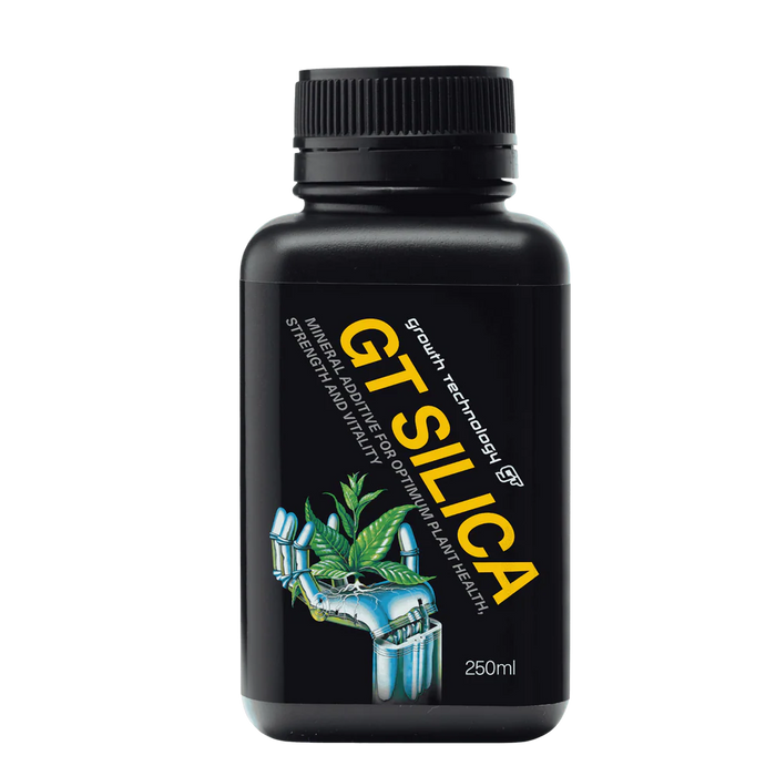 GT Silica