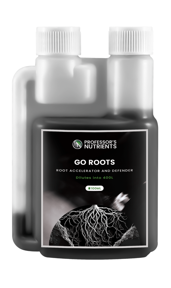 Professors Go Roots — Fran's Hydroponics