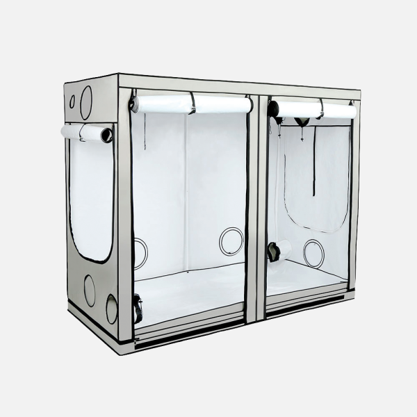 HOMEbox Ambient R240