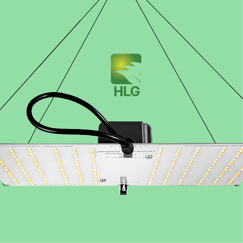 Australia's Leading Hydroponic Supplies Shop Fran's Hydroponics