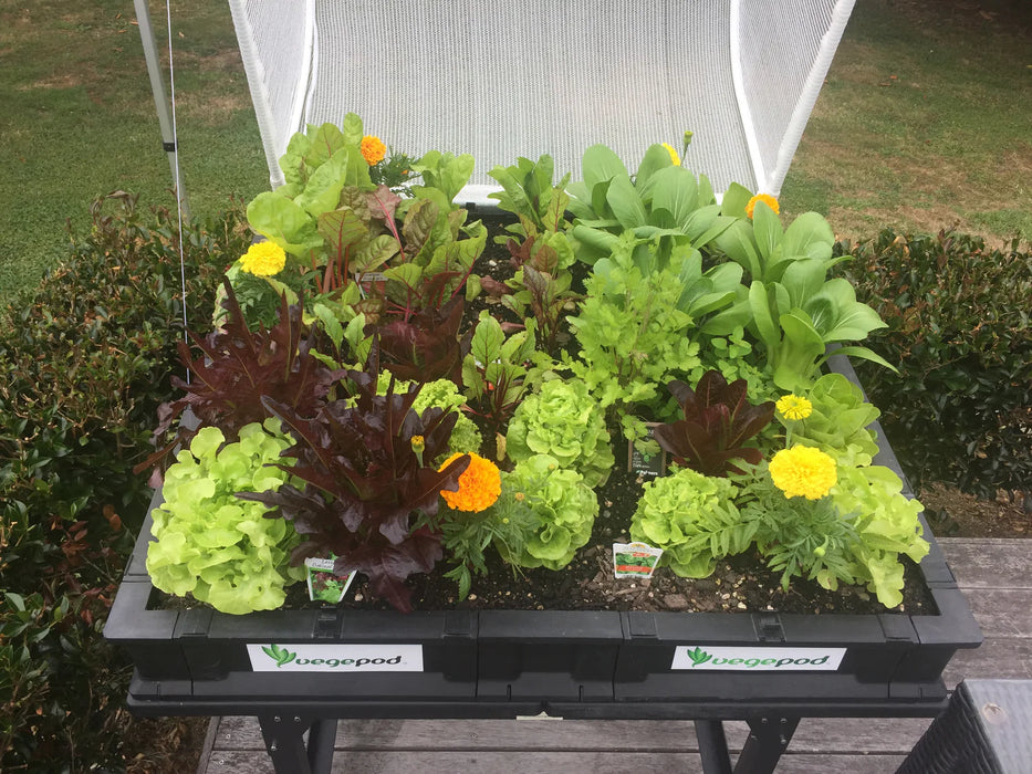 Vegepod Medium Raised Garden Bed with VegeCover 1m x 1m