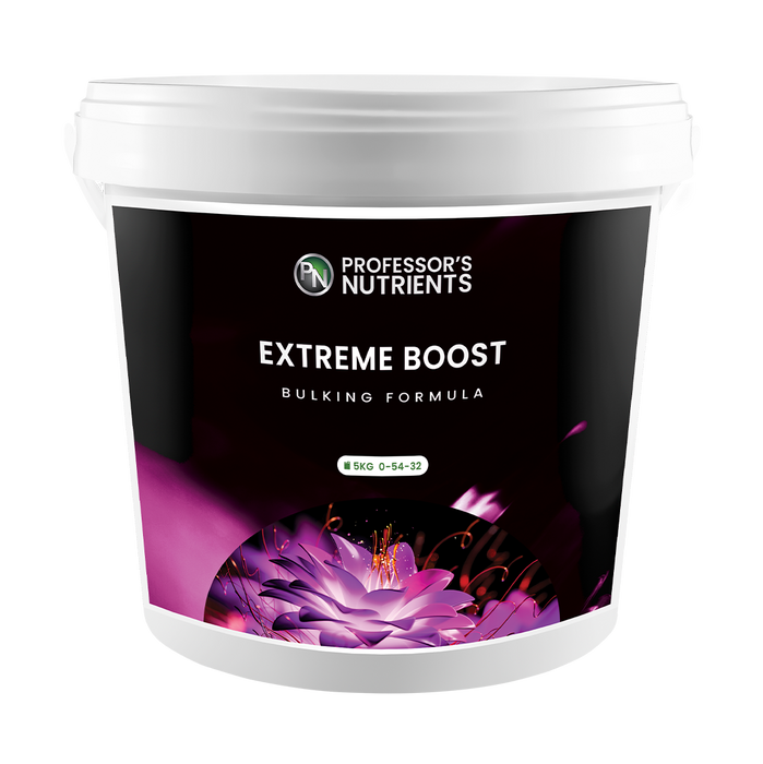 Professors Extreme Boost
