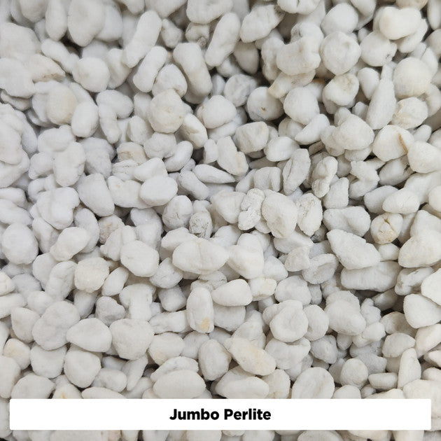 Perlite 100L (Various Coarse Levels)