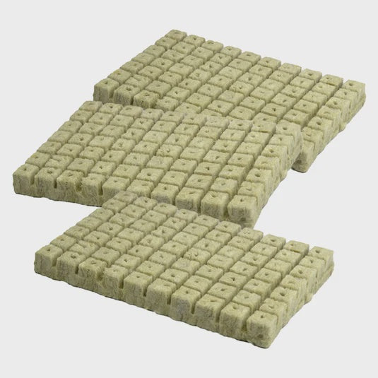 210 Premium Rockwool Grow Cubes