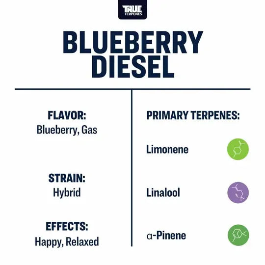 True Terpenes - Live Alchemy - Blueberry Diesel
