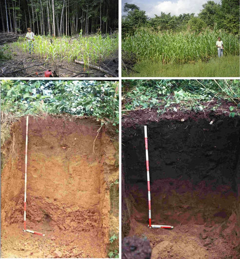 LIQUID BIOCARBON | LIQUID BIOCHAR