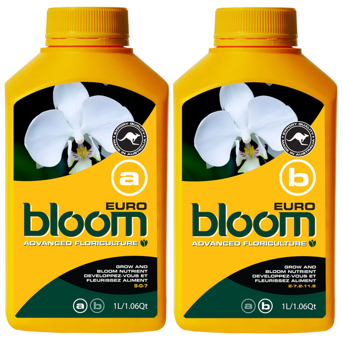 BLOOM EURO A & B